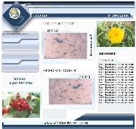 Вариант 3